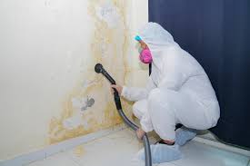 Best Commercial Mold Inspection  in Dove Valley, CO